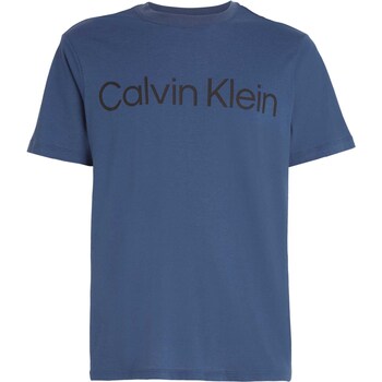 Vêtements Homme T-shirts & Polos Calvin Klein Jeans Pw - S/S T-Shirt Bleu