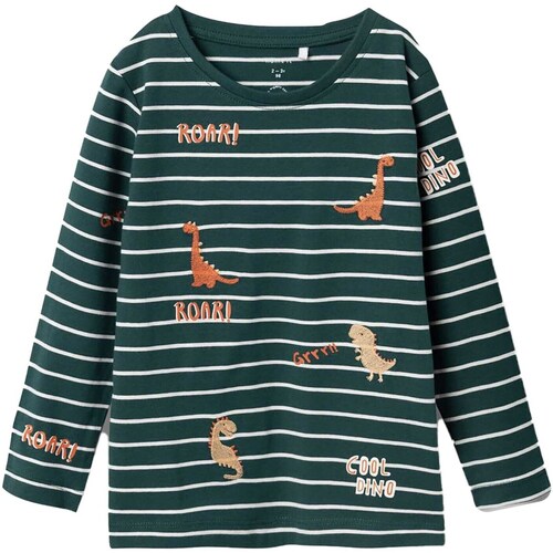 Vêtements Garçon T-shirts & Polos Name it T-Shirt  Nmmtenne Ls Top Vert