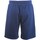 Vêtements Homme Shorts / Bermudas Emporio Armani EA7 Bermuda Bleu