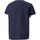 Vêtements Enfant T-shirts & Polos Puma Teamrise Jersey Jr Bleu