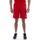 Vêtements Homme Shorts / Bermudas Puma Teamrise Short Rouge