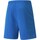 Vêtements Homme Shorts / Bermudas Puma Teamrise Short Marine