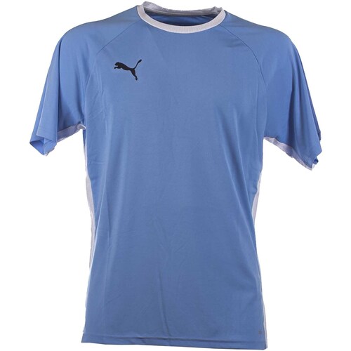 Vêtements Homme T-shirts & Polos Puma Teamliga Padel Shirt Bleu