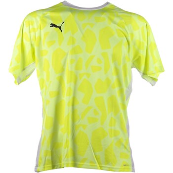 Vêtements Homme T-shirts & Polos Puma Teamliga Padel Graphic Shirt Jaune