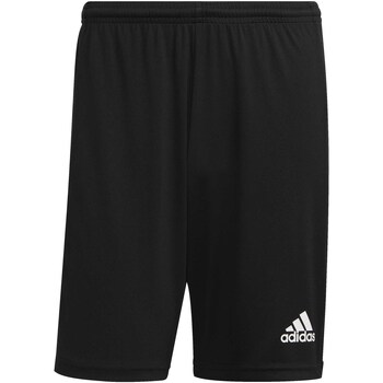 Vêtements Homme Shorts / Bermudas adidas Originals Pantaloni Corti  Squad 21 Nero Noir