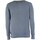 Vêtements Homme Sweats Replay Maglione Marine