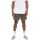 Vêtements Homme Shorts / Bermudas Vans Mn Range Relaxed Elastic Short Vert