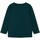 Vêtements Garçon T-shirts & Polos Name it T-Shirt  Nmmravne Ls Top Verde Vert