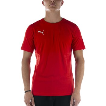 Vêtements Homme T-shirts & Polos Puma T-Shirt  Teamgoal 23 Casuals Tee Rosso Rouge
