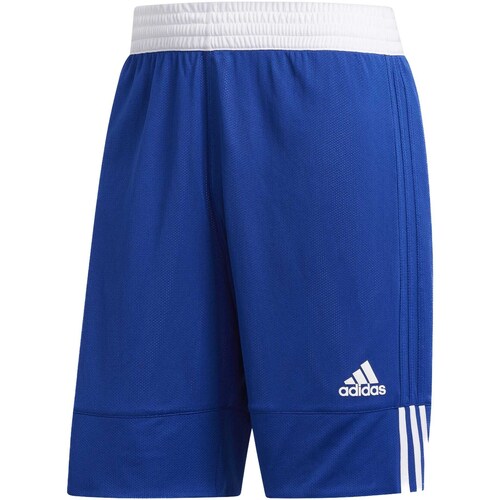 Vêtements Homme Shorts / Bermudas voetbal adidas Originals Pantaloni Corti  3G Spee Rev Royal Bleu