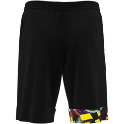 Vêtements Homme Shorts / Bermudas Errea Pantaloni Corti  Patros Ad Nero Noir