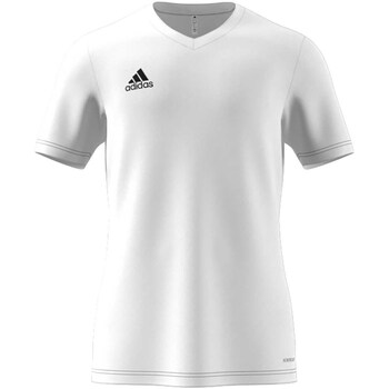 Vêtements Homme T-shirts & Polos brazil adidas Originals Ent22 Jsy White Blanc