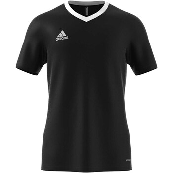 Vêtements Homme T-shirts & Polos adidas Originals T-Shirt Adidas Ent22 Jsy Nero Noir