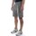 Vêtements Homme Shorts / Bermudas Carhartt Grand Short Vert
