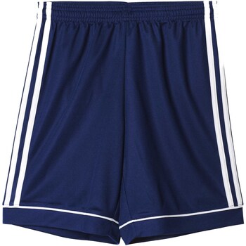 Vêtements Garçon Shorts White / Bermudas adidas Originals Pantaloni Corti  Squad 17 Y Blu Bleu