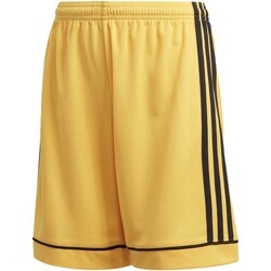 Vêtements Garçon Shorts / Bermudas america adidas Originals Pantaloni Corti  Squad 17 Y Giallo Jaune