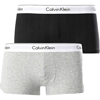 Sous-vêtements Homme Caleçons Calvin Klein Jeans Low Rise Trunk 2P Multicolore