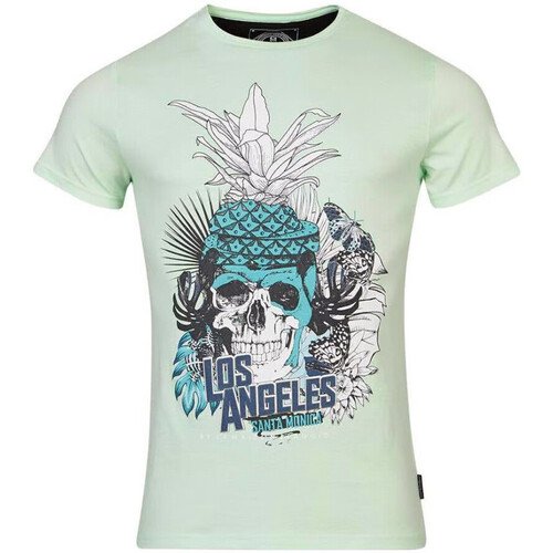 Vêtements Homme T-shirts manches courtes Coco & Abricot MB-MANON Vert