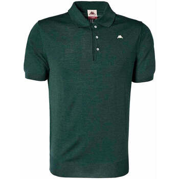 Vêtements Homme T-shirts & Polos Kappa Polo Durek Robe di Vert