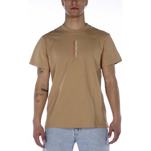 Vêtements Homme T-shirts & Polos Calvin Klein Chrono CALVIN KLEIN 306 Beige
