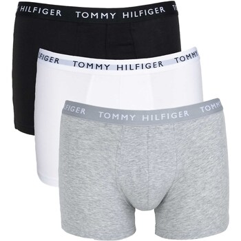 Sous-vêtements Tape Caleçons Tommy Hilfiger 3P Trunk Multicolore