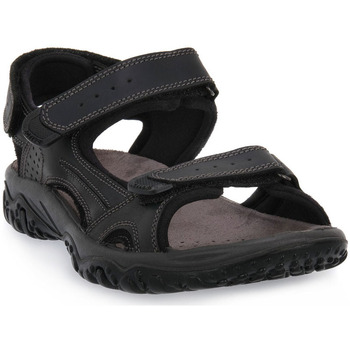 Chaussures Homme Sandales et Nu-pieds Imac PACIFIC Noir