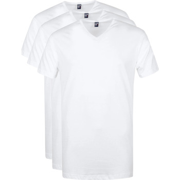 Vêtements Homme T-shirts & Polos Alan Red T-Shirt Vermont Col-V Blanc Lot de 3 Blanc