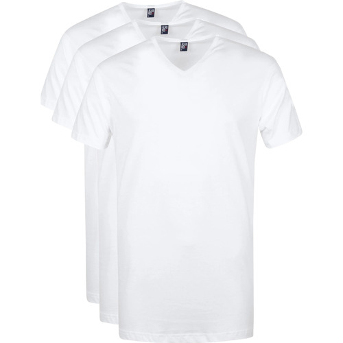 Vêtements Homme T-shirts & Polos Alan Red T-Shirt Vermont Col-V Blanc Lot de 3 Blanc