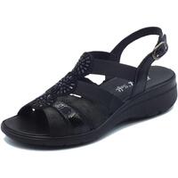 Chaussures Femme Sandales et Nu-pieds Enval 3764500 Naplak Noir