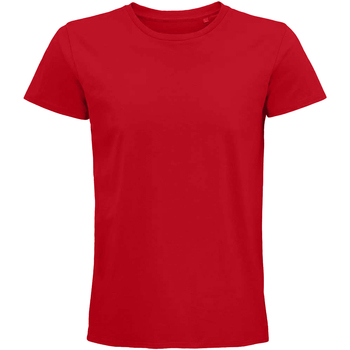Vêtements Shorts & Bermudas Sols 03565 Rouge