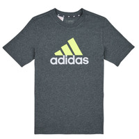 Vêtements Garçon T-shirts manches courtes Adidas Sportswear BL 2 TEE Gris / Blanc / Vert