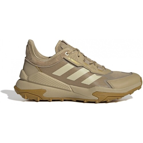Chaussures Homme Running / trail adidas Originals Terrex Hyperblue Marron