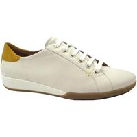 Chaussures Femme Baskets basses Benvado BEN-RRR-44002004-WH Blanc