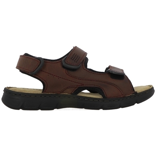 Chaussures Homme Tops / Blouses TBS SAYRRON Marron