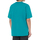 Vêtements Homme T-shirts manches courtes Dickies DK0A4Y8OE641 Vert