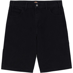 Vêtements Homme Shorts / Bermudas Dickies DK0A4XNGC401 Noir
