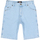 Vêtements Homme Shorts Homme / Bermudas Dickies DK0A4XCKC151 Bleu