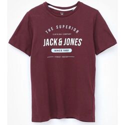 Vêtements Garçon T-shirts & Polos Jack & Jones 12190364 HERRO-PORT ROYALE Rouge
