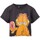 Vêtements Femme T-shirts manches longues Garfield NS7010 Orange