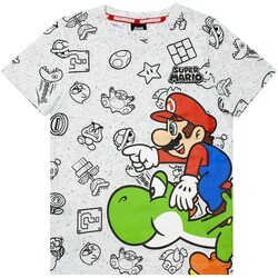 Vêtements Garçon T-shirts manches courtes Super Mario  Gris