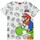 Vêtements Garçon T-shirts manches courtes Super Mario NS7011 Gris