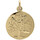 Montres & Bijoux Femme Pendentifs Brillaxis Médaille  arbre de vie or 18 carats Jaune