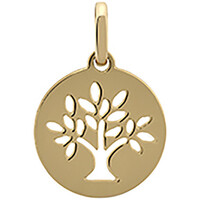 Montres & Bijoux Femme Pendentifs Brillaxis Médaille  mini arbre de vie or jaune Jaune