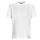 Vêtements Homme T-shirts manches courtes Adidas Sportswear TEE WHITE Blanc