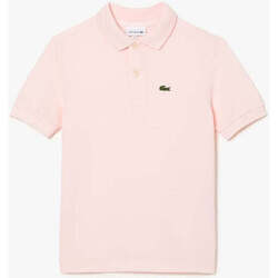 Vêtements Garçon T-shirts & Polos Lacoste  Rose