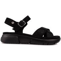 Chaussures Femme Sandales sport Xti 14124 Des Sandales Noir
