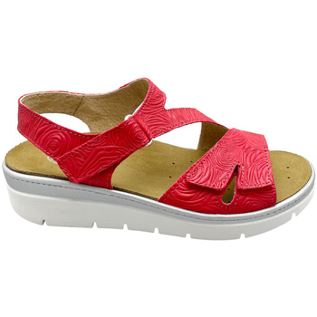 Chaussures Femme Sandales et Nu-pieds Calzaturificio Loren LOQ7012ro Rouge