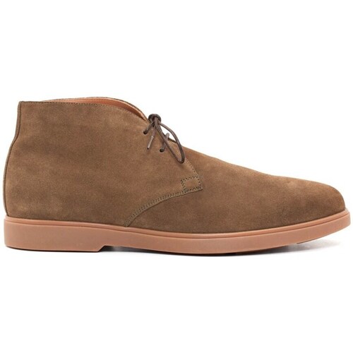 Chaussures Homme Baskets montantes Finsbury Shoes about SAHARA Marron