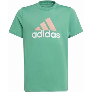 Vêtements Garçon T-shirts manches courtes Violet adidas Originals U bl 2 tee Vert