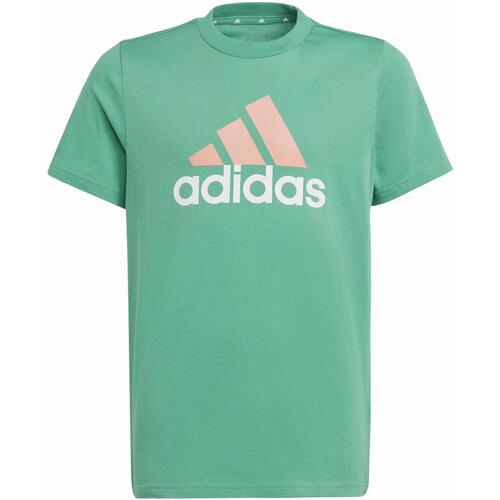 Vêtements Garçon T-shirts manches courtes gv9797 adidas Originals U bl 2 tee Vert